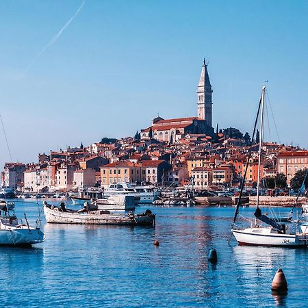Amazing Apartment In Rovinj With Wifi المظهر الخارجي الصورة